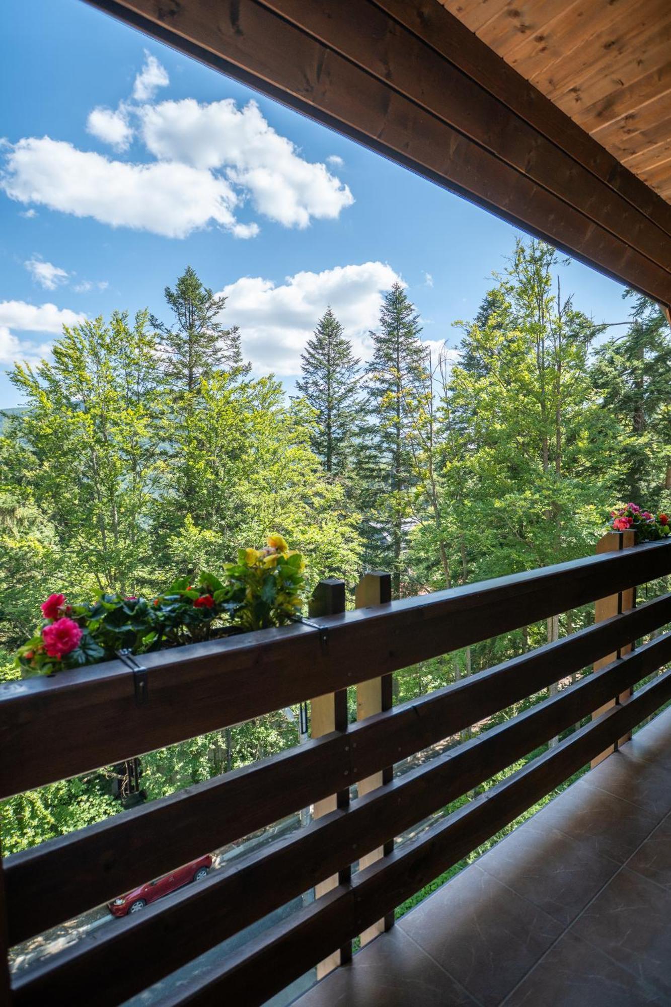 Opus Villa Sinaia Eksteriør billede A balcony in the Alps