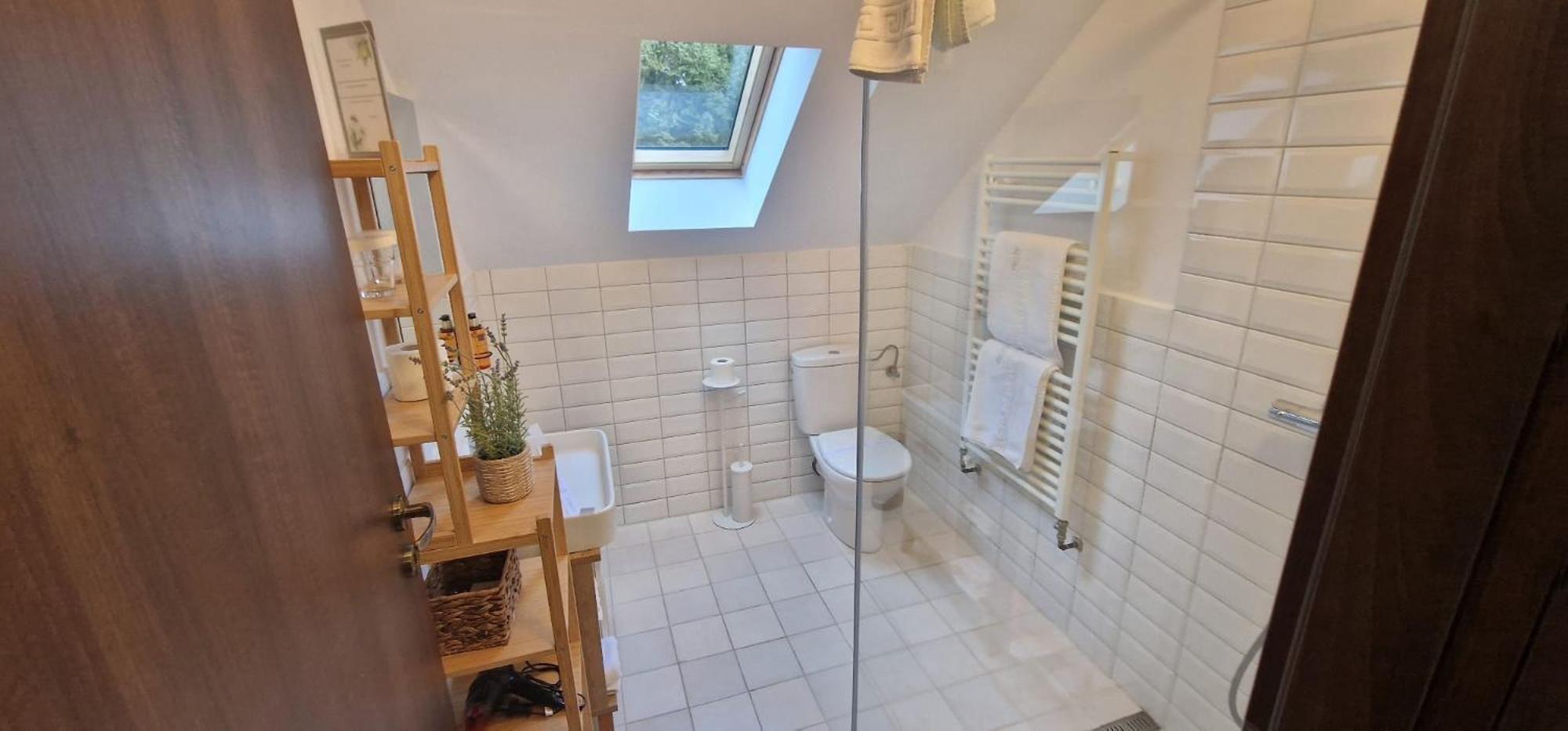 Opus Villa Sinaia Eksteriør billede Bathroom with a shower